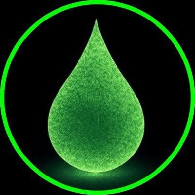 RIPPLEBIDS Logo